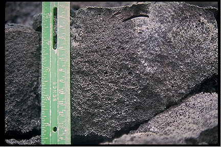 Photograph of a s-type pahoehoe flow unit. The scale indicates 13 cm.