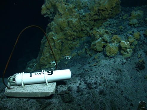 A hydrophone on the seafloor at NW Rota Volcano