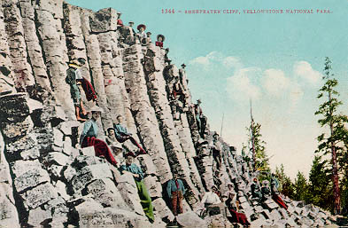 Columnar jointing in Sheepeater Cliff, Yellowstone National Park.