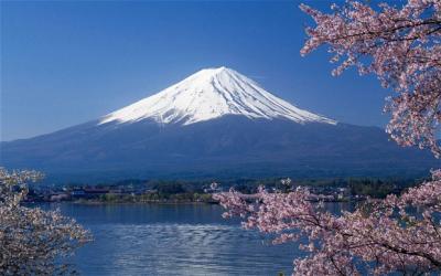 Fuji's iconic shape. (Photo by AFP)