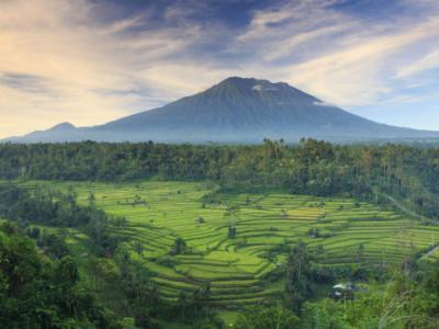 Agung volcano with rice fields in the foreground (photograph by Michele Falzone)