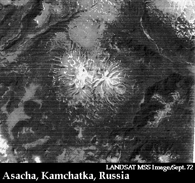 Asacha