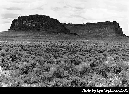 Black and white image of a desert landscape featuring mountains in the background, showcasing stark contrasts and textures.
