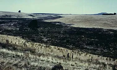 Harman Valley