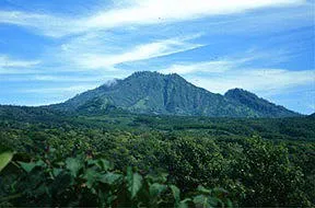 A stunning mountain rises above a vibrant green forest