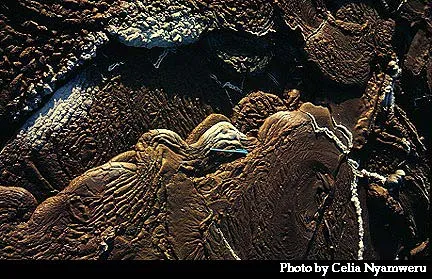 Pahoehoe lava on crater floor