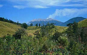 Scenic view with green trees on mountains