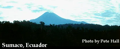 Sumaco volcano in the distance
