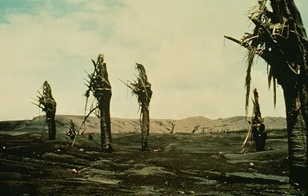 Wilted palm trees covered in ash