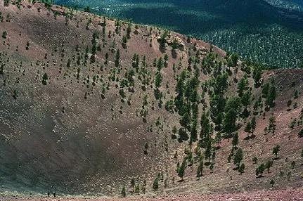 Crater sparsely populated with trees