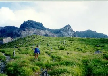 Grassy mountainside of Yake-dake summit