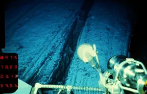 White sediment used by Ocean Drilling Project