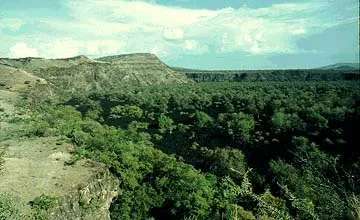 color view of floor of the smaller caldera
