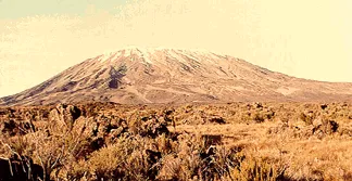 Kilimanjaro