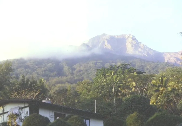Manam volcano towering over a forest
