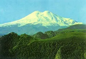 Lush green forest with two snow capped peaks in background