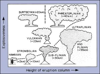 From Cas and Wright, 1987
