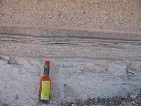 Close up image of the co-ignimbrite ash deposit with hot sauce for scale. See Sparks and Walker (1977) for more details.