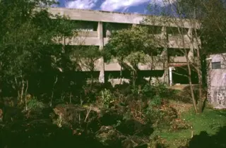 The National University of Mexico, built on the Xitle lava flow (Photo by Lee Siebert, 1998)