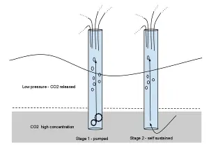 Structure set up by authorities (Diagram by Paschute/Wikipedia Commons)