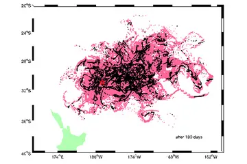 Figure: An example of the model used to track the movement of the pumice rafts for hazard management purposes.